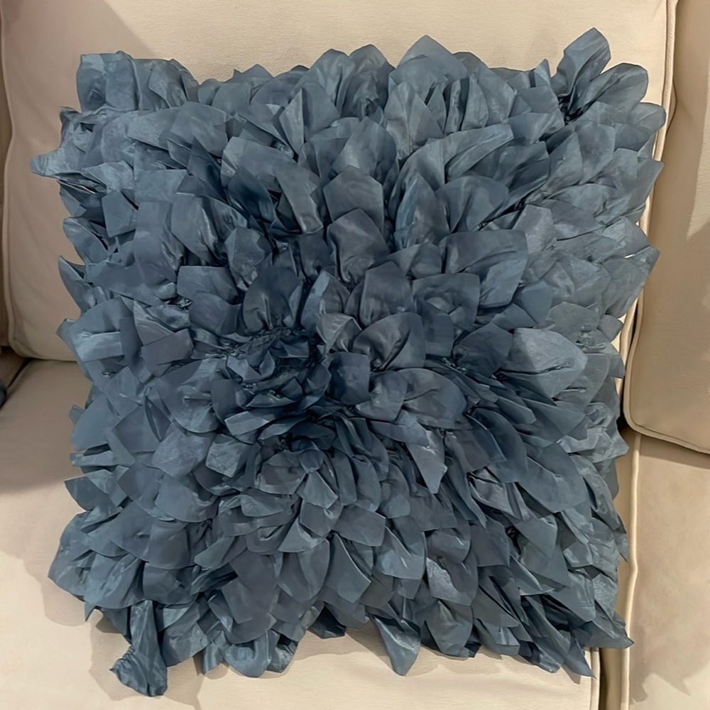 Pier 1 throw pillow